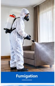 Fumigation and Pest Control Services